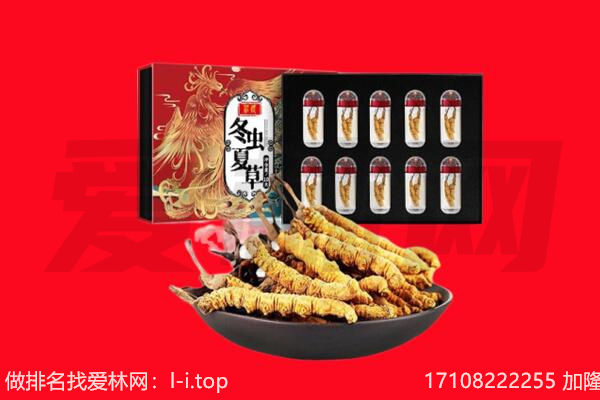 郊区回收虫草.jpg